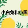 小白兔和小黑兔（關于小白兔和小黑兔簡介）