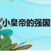 小皇帝的強國夢（關于小皇帝的強國夢簡介）