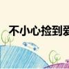 不小心撿到愛（關于不小心撿到愛的簡介）
