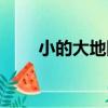 小的大地圖（關于小的大地圖簡介）
