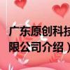 廣東原創科技有限公司（關于廣東原創科技有限公司介紹）