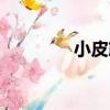 小皮筋（關于小皮筋簡介）