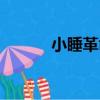 小睡革命（關于小睡革命簡介）