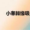 小睪棘緣吸蟲（關于小睪棘緣吸蟲簡介）