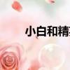 小白和精英（關于小白和精英簡介）