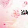 盜賊（關于盜賊的簡介）