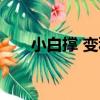 小白撐 變種（關于小白撐 變種簡介）