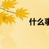 什么事（關于什么事的簡介）
