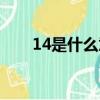 14是什么意思英語（14是什么意思）