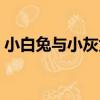 小白兔與小灰兔（關于小白兔與小灰兔簡介）