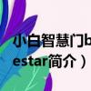 小白智慧門bladestar（關于小白智慧門bladestar簡介）