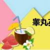睪丸英語俚語（睪丸 英語）