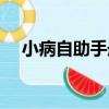 小病自助手冊（關于小病自助手冊簡介）