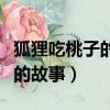 狐貍吃桃子的故事告訴我們什么（桃子和阿貍的故事）