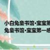 小白兔童書館·寶寶第一感大卡系列：想象激發卡 適合0-3歲（關于小白兔童書館·寶寶第一感大卡系列：想象激發卡 適合0-3歲簡介）