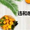 違和感（關于違和感的簡介）