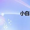 小白菜（關于小白菜簡介）