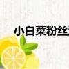 小白菜粉絲湯（關于小白菜粉絲湯簡介）