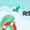 向生（關于向生的簡介）