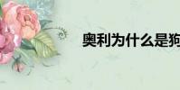 奧利為什么是狗屎?