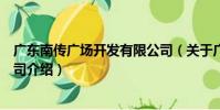 廣東南傳廣場開發有限公司(關于廣東南傳廣場開發有限公司介紹)
