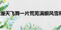 漫天飛舞一片荒蕪滿眼風雪和眼淚都化作塵埃