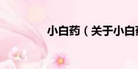 小白藥(關于小白藥簡介)