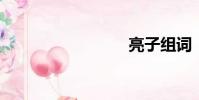 亮子組詞