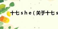 十七 s h e(關于十七 s h e的簡介)