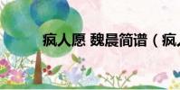 瘋人愿 魏晨簡譜(瘋人愿 魏晨)