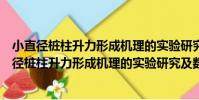 小直徑樁柱升力形成機理的實驗研究及數值模擬(關于小直徑樁柱升力形成機理的實驗研究及數值模擬簡介)
