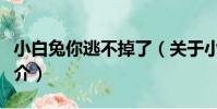 小白兔你逃不掉了(關于小白兔你逃不掉了簡介)