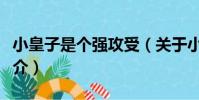 小皇子是個強攻受(關于小皇子是個強攻受簡介)