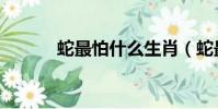 蛇最怕什么生肖(蛇最怕什么)
