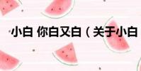 小白 你白又白(關于小白 你白又白簡介)