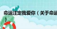 命運注定我愛你(關于命運注定我愛你的簡介)