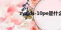 zyzjds-10pe是什么(zyz)