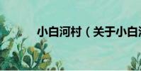小白河村(關于小白河村簡介)