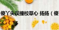傻丫頭誤撞校草心 揚揚(傻丫頭誤撞校草心)