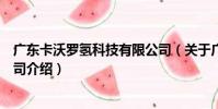 廣東卡沃羅氫科技有限公司(關于廣東卡沃羅氫科技有限公司介紹)