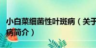 小白菜細菌性葉斑病(關于小白菜細菌性葉斑病簡介)