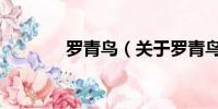 羅青鳥(關于羅青鳥的簡介)