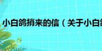 小白鴿捎來的信(關于小白鴿捎來的信簡介)