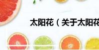 太陽花(關于太陽花的簡介)
