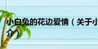 小白兔的花邊愛情(關于小白兔的花邊愛情簡介)