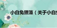 小白兔貍藻(關于小白兔貍藻簡介)