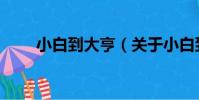 小白到大亨(關于小白到大亨簡介)