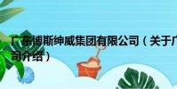 廣東博斯紳威集團有限公司(關于廣東博斯紳威集團有限公司介紹)