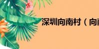 深圳向南村(向南村)