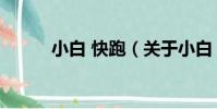 小白 快跑(關于小白 快跑簡介)